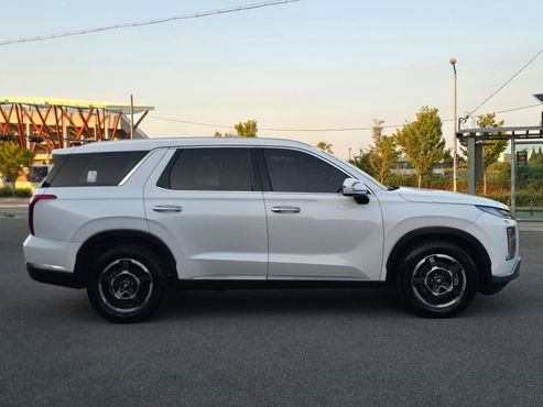 Hyundai Palisade Diesel 2.2 2WD Exclusive — пробег 161 000 км — фото 4 из 5