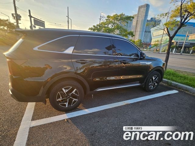 Kia Sorento HEV 1.6 2WD Noblesse — пробег 56 432 км — фото 4 из 5