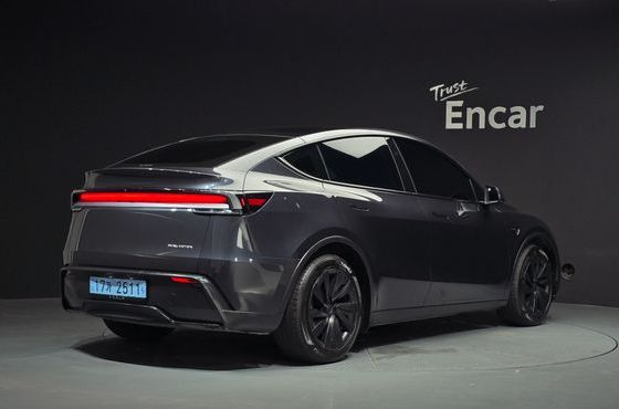 Tesla Model Y Long Range AWD — пробег 24 633 км — фото 2 из 5