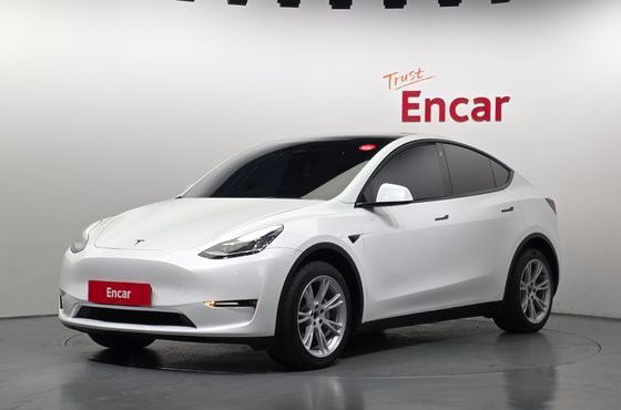 Tesla Model Y Long Range AWD — пробег 70 550 км — фото 1 из 5