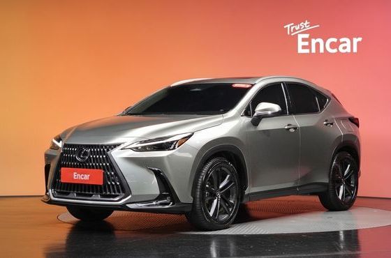 Lexus NX Premium — пробег 43 998 км — фото 1 из 5