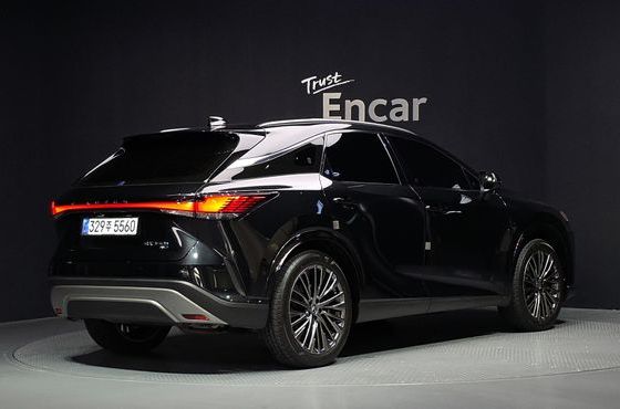 Lexus RX Luxury — пробег 12 242 км — фото 2 из 5