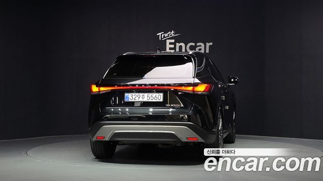 Lexus RX Luxury — пробег 12 242 км — фото 4 из 5