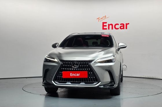 Lexus NX Premium — пробег 41 920 км — фото 3 из 5