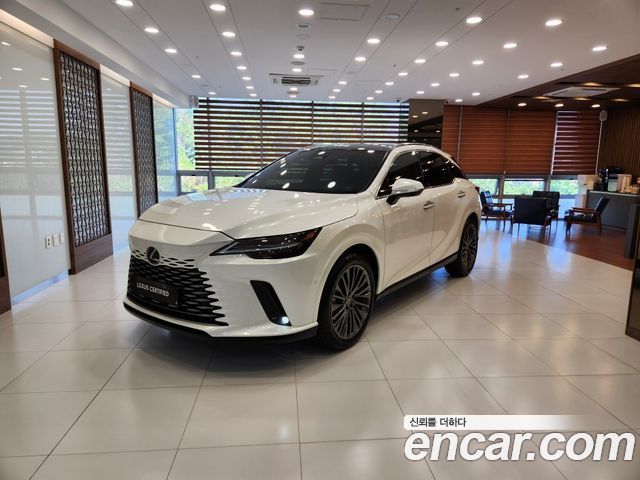 Lexus RX Luxury — пробег 59 417 км — фото 1 из 5
