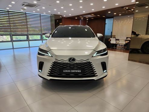 Lexus RX Luxury — пробег 59 417 км — фото 3 из 5