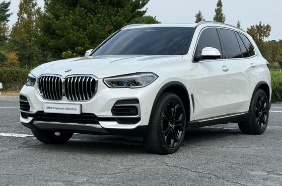 BMW X5 xDrive 40i xLine — пробег 44 825 км — фото 1 из 5