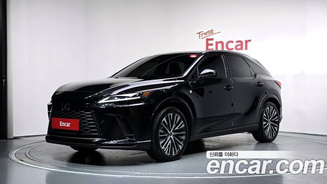 Lexus RX Luxury — пробег 48 252 км — фото 1 из 5