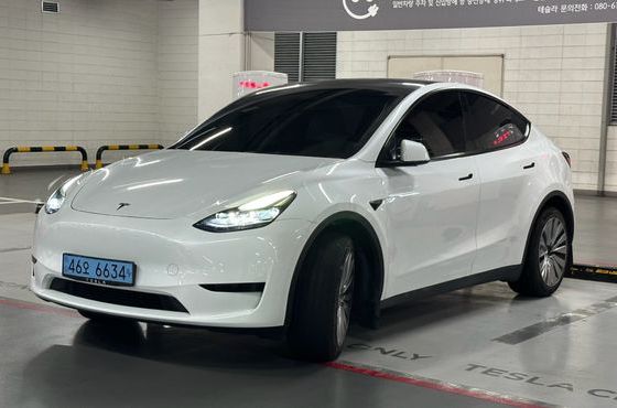 Tesla Model Y RWD — пробег 68 002 км — фото 3 из 5