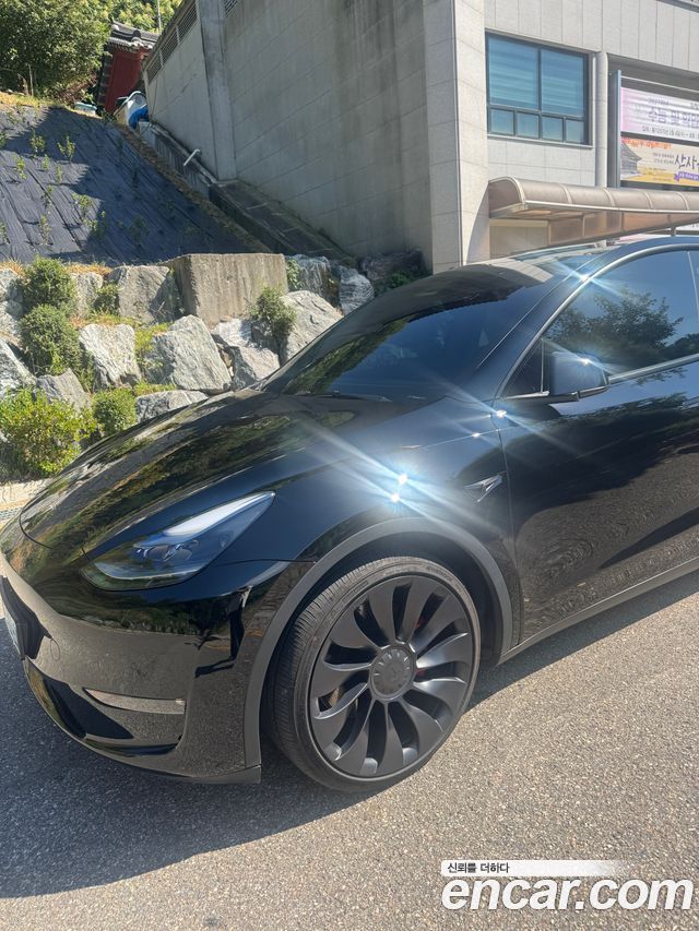Tesla Model Y Performance AWD — пробег 75 396 км — фото 1 из 5