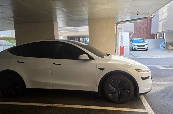 Tesla Model Y Premium RWD — пробег 8 100 км — фото 2 из 5