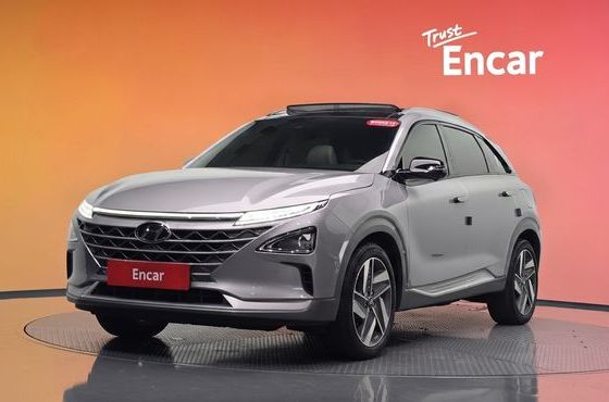 Hyundai Nexo Premium — пробег 51 451 км — фото 1 из 5