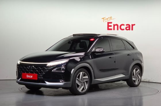 Hyundai Nexo Premium — пробег 38 043 км — фото 1 из 5