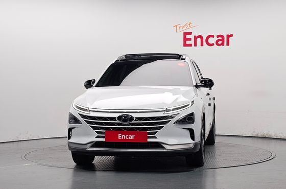 Hyundai Nexo Premium — пробег 34 110 км — фото 3 из 5