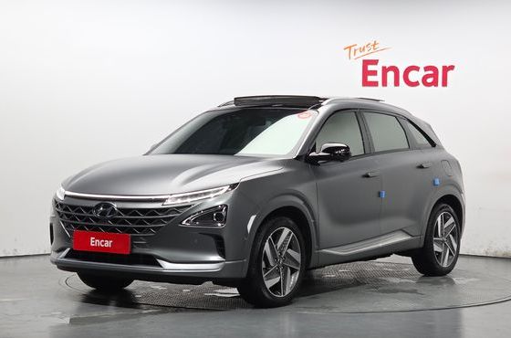 Hyundai Nexo Premium — пробег 18 708 км — фото 1 из 5