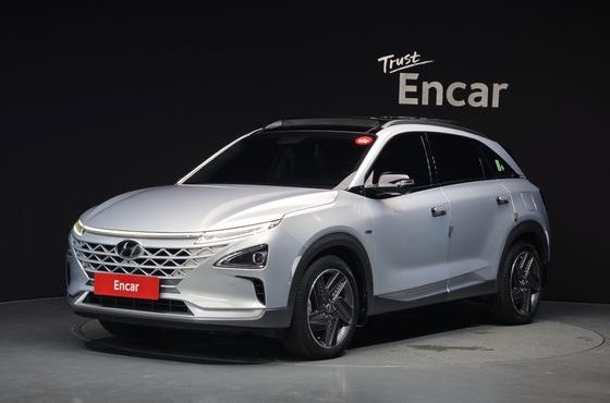 Hyundai Nexo Premium — пробег 134 385 км — фото 1 из 5