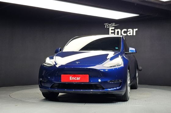 Tesla Model Y Long Range AWD — пробег 153 870 км — фото 3 из 5