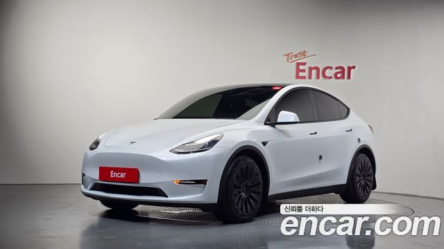 Tesla Model Y Long Range AWD — пробег 59 541 км — фото 1 из 5