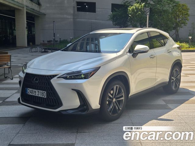 Lexus NX Premium — пробег 7 000 км — фото 1 из 5
