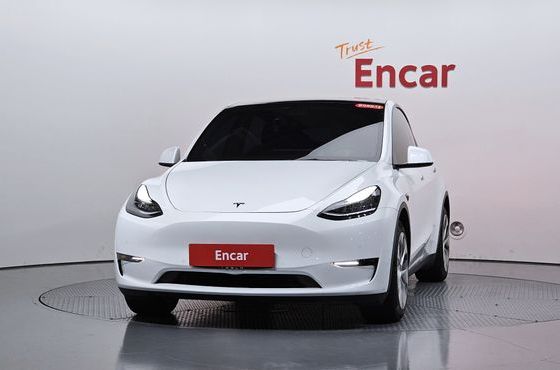Tesla Model Y Long Range AWD — пробег 59 463 км — фото 3 из 5