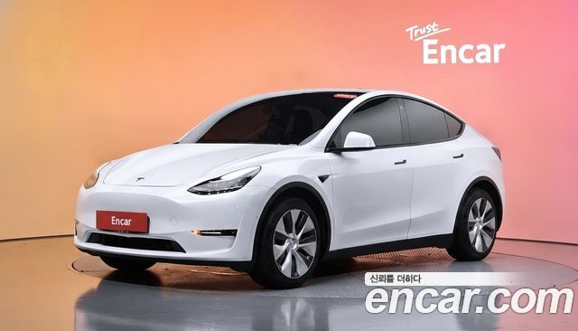 Tesla Model Y Long Range AWD — пробег 59 463 км — фото 1 из 5