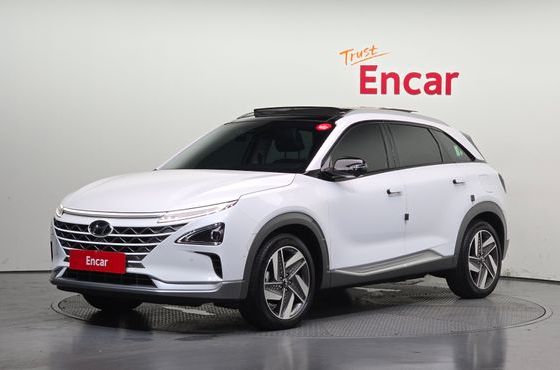 Hyundai Nexo Premium — пробег 16 550 км — фото 1 из 5