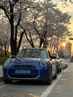 Mini Cooper SE Favoured — пробег 8 000 км — фото 1 из 5