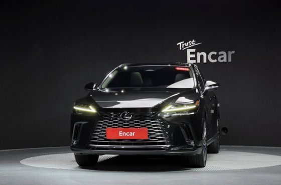 Lexus RX Luxury — пробег 21 600 км — фото 3 из 5