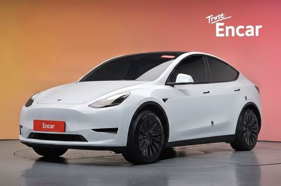 Tesla Model Y RWD — пробег 26 752 км — фото 1 из 5