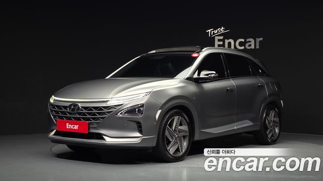 Hyundai Nexo Premium — пробег 169 125 км — фото 1 из 5