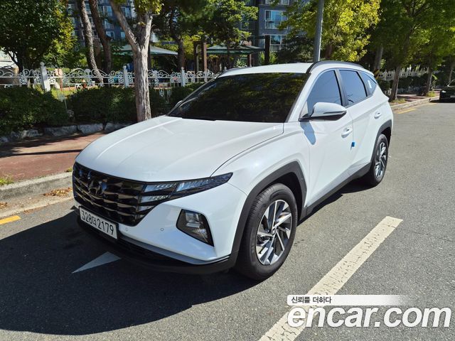Hyundai Tucson Gasoline 1.6 Turbo 2WD Premium — пробег 25 474 км — фото 1 из 5