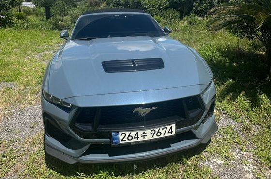 Ford Mustang 5.0 GT Premium Convertible — пробег 16 000 км — фото 3 из 5