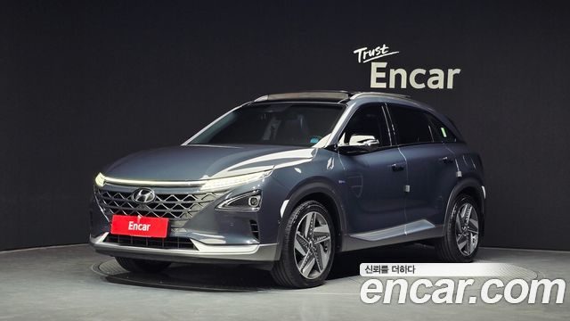 Hyundai Nexo Premium — пробег 153 583 км — фото 1 из 5