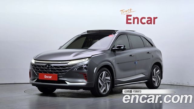 Hyundai Nexo Premium — пробег 168 816 км — фото 1 из 5