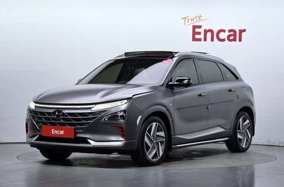 Hyundai Nexo Premium — пробег 168 816 км — фото 1 из 5