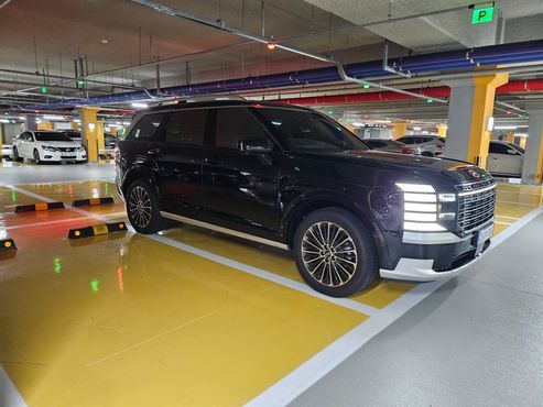 Hyundai Palisade Gasoline 2.5T 2WD 9-Seater Calligraphy — пробег 4 000 км — фото 3 из 5
