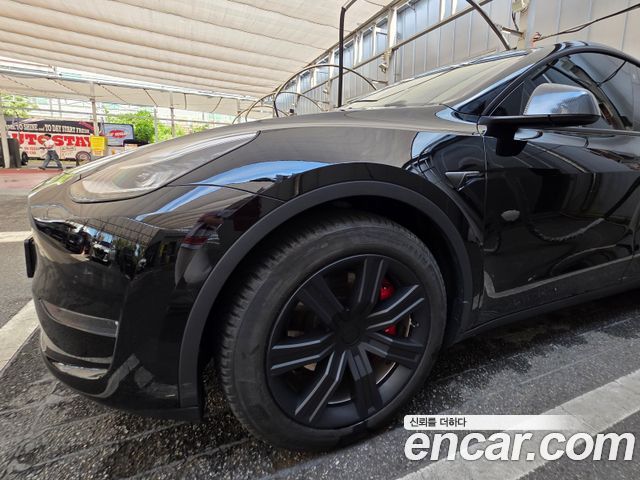 Tesla Model Y из Кореи Encar