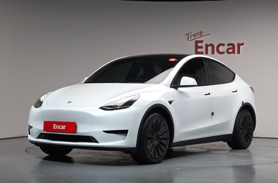 Tesla Model Y RWD — пробег 24 558 км — фото 1 из 5
