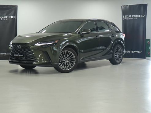 Lexus RX Luxury — пробег 22 000 км — фото 1 из 5