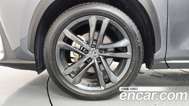 Lexus NX Premium — пробег 36 097 км — фото 5 из 5