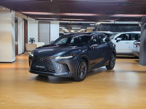 Lexus RX Luxury — пробег 2 591 км — фото 1 из 5