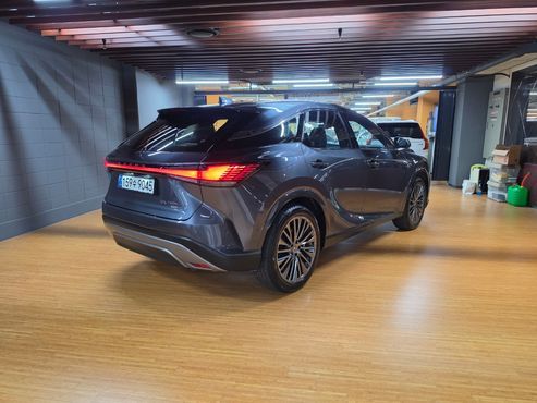 Lexus RX Luxury — пробег 2 591 км — фото 2 из 5