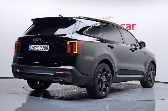 Kia Sorento Gasoline 2.5T 2WD Gravity — пробег 30 135 км — фото 2 из 5