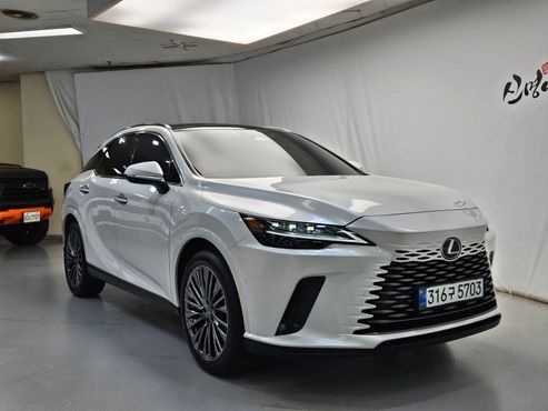 Lexus RX Luxury — пробег 3 343 км — фото 1 из 5