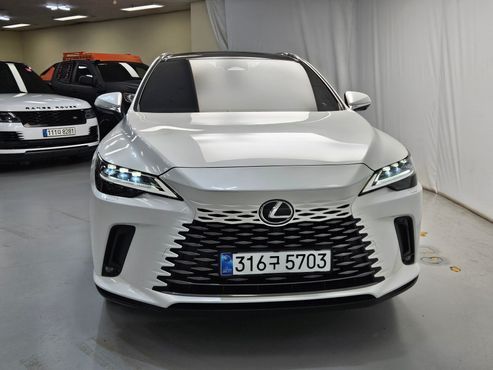 Lexus RX Luxury — пробег 3 343 км — фото 2 из 5