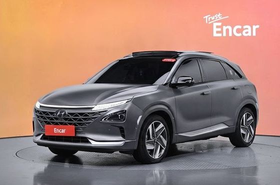 Hyundai Nexo Premium — пробег 126 208 км — фото 1 из 5