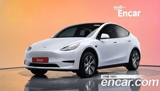 Tesla Model Y RWD — пробег 49 311 км — фото 1 из 5
