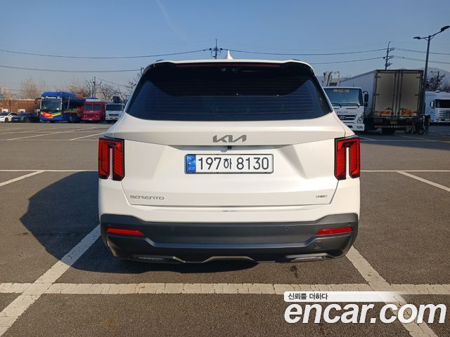 Kia Sorento HEV 1.6 2WD Gravity — пробег 55 км — фото 4 из 5