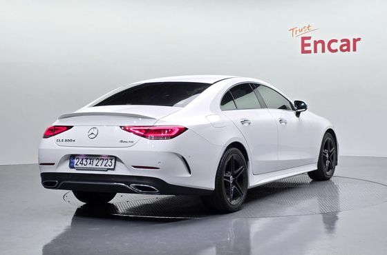 Mercedes-Benz CLS-Class CLS300d 4MATIC — пробег 46 983 км — фото 2 из 5