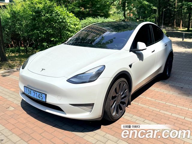 Tesla Model Y Performance AWD — пробег 29 500 км — фото 1 из 5